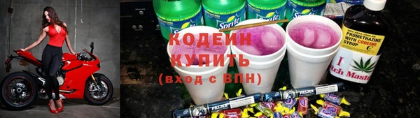 индика Белокуриха
