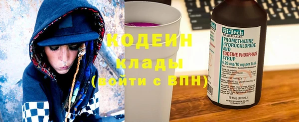 индика Белокуриха