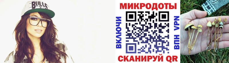 Псилоцибиновые грибы Psilocybine cubensis  хочу   гидра   Пятигорск 